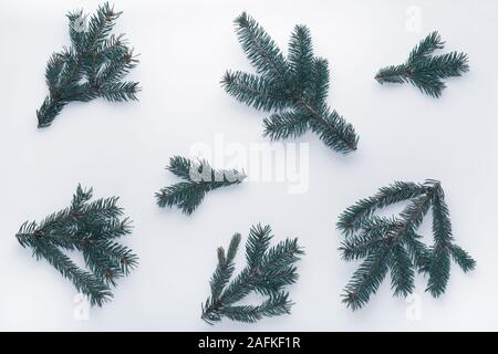 Weihnachten Tannenbaum Äste auf weißem Hintergrund, flach Stockfoto