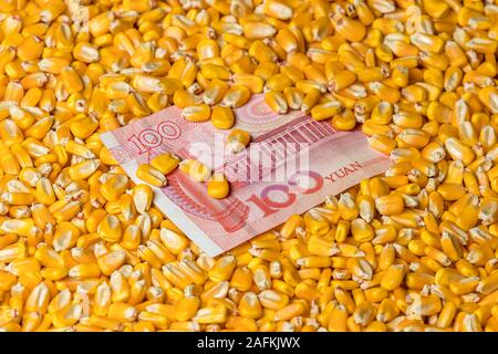 China 100 Yuan Renminbi Rechnung mit Maiskörner umgeben. Konzept von China und USA Tarife, Handelskrieg, und die Marktpreise Stockfoto