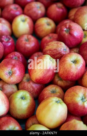 Full Frame Geschossen von frischen Äpfeln angezeigt In der organischen Farm Shop Stockfoto