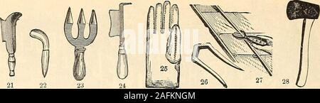 . Handbuch alles für den Garten: 1894. 21 22 23 24 RECHNUNG DLBBEB. Jäten PFROPFUNG GABDENERS VERGLASUNG PUNKTE UND BESCHNEIDUNG HAKEN. Gabel. Meißel. Handschuhe. Zangen. HATCHET. Sonstige Werkzeuge, Arbeitsgeräte, RequisitesJying Material, etc. Spargel Bunclier (Abb. 29), die neuesten und besten buncher 3 $ 00 Ax, Haus, Licht, SI.00, schwer 1 25 mattock, 85°C; mit Griff 1 00 Bill Hakens (Abb. 21), für Gebüsch 1 25 Pinsel, Stahl Baum, zum Verdrängen von Co-coons und itisects auf der Rinde 1 50 Brash Haken, ax behandelt 1 15 Dibbers (Abb. 22) 40 Blumen Werkzeuge, 4er-Set; kleine 50 Satz 4; Lange behandelt.. 1 00 Gabeln, Dig Stockfoto