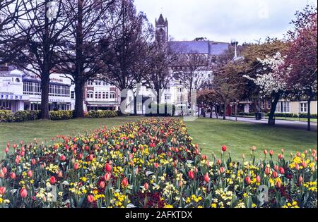 GB '77: Torquay Stockfoto