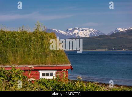 BAKKEJORD, INSEL KVALØYA, NORWEGEN - Rasen Dach Gebäude auf der Insel Kvaløya im Vordergrund, und Straumsfjorden Blick auf Fjord und Berge. Stockfoto