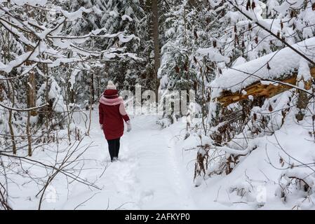 GULBENE, Lettland. 24. Dezember 2018. Frau das Tragen der roten Winterjacke, Wanderungen im verschneiten Wald. Verschneite Bäume und Wald Trail. Stockfoto