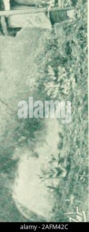 . Ein Yankee am Jangtse: eine Erzählung einer Reise von Shanghai durch das Reich der Mitte in Burma. Stockfoto