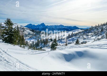 Bewölkt morgen in Alpen, Nassfeld, Österreich. Berghänge mit Schnee bedeckt. Scharfe Kanten der Alpen. Sanft gefärbten Himmel. Ein neuer Tag beginnt. Pine Tree Stockfoto