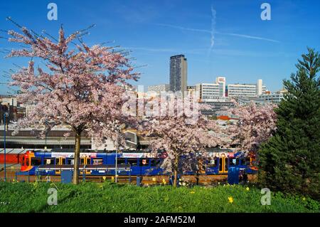 UK Sheffield, South Yorkshire, Skyline und Supertram von Granville Lane Stockfoto