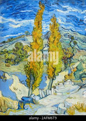 Die Pappeln in Saint-Rémy von Vincent Van Gogh (1853-1890), Öl auf Stoff, 1889 Stockfoto