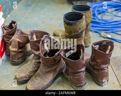 Omro, Wisconsin - Arbeitsstiefel in das Vieh Stall bei Knigge Bauernhöfe, ein Milchviehbetrieb mit automatisierten Melkmaschinen. Stockfoto