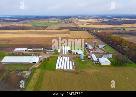 Omro, Wisconsin - Knigge Bauernhöfe, ein Milchviehbetrieb mit automatisierten Melkmaschinen. Die langen, weißen Plastiktüten für Gain und Silage verwendet, eine weniger Stockfoto