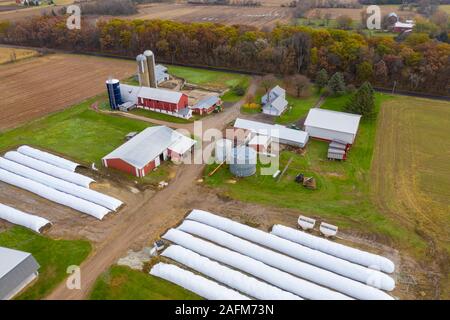 Omro, Wisconsin - Knigge Bauernhöfe, ein Milchviehbetrieb mit automatisierten Melkmaschinen. Die langen, weißen Plastiktüten für Gain und Silage verwendet, eine weniger Stockfoto