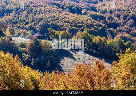 Herbst im sharr Mountain National Park in der Nähe von Prevalla, Prizren, Kosovo, zentralen Balkan. Stockfoto