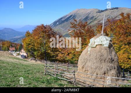 Herbst im sharr Mountain National Park in der Nähe von Prevalla, Prizren, Kosovo, zentralen Balkan. Stockfoto