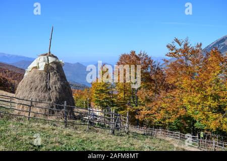 Herbst im sharr Mountain National Park in der Nähe von Prevalla, Prizren, Kosovo, zentralen Balkan. Stockfoto