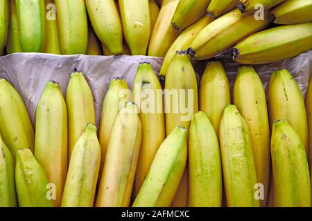 Saisonale Früchte werden in Boxen im Lebensmittelgeschäft. In der Nähe des frischen gelben Bananen. Natürliche Lebensmittel, die reich an Vitaminen für eine gesunde Ernährung. Stockfoto