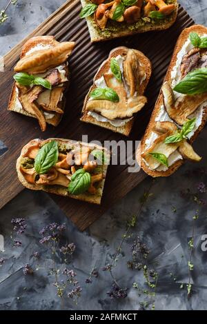 Gesunde vegetarische Snack. Pfifferlingen und Steinpilzen gebraten auf Bruschetta mit Ricotta und Basilikum auf dunklem Hintergrund der Ansicht von oben kopieren. Stockfoto