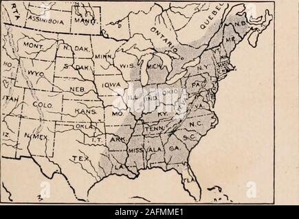 . Handbuch der Bäume im nördlichen Staaten und Kanada östlich der Rocky Mountains. Foto - beschreibend. Kastanie. Castanea dentata (Marsh.) Borkh. Stockfoto