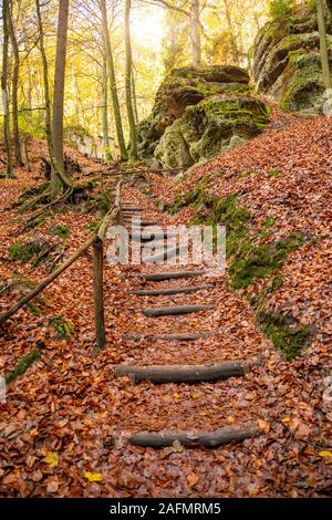 Hölzerne Treppe zwischen Bäumen zu Kokorin in Nordböhmen im Herbst, Tschechische Republik Stockfoto