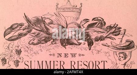 . Ortsverzeichnis und Business Directory von Rutland County, Vt, für 1881-82. Und: SCHMIEDE! Hintere VON BERWICK HAUS,- HtC *^i^; * pf^ 1 3 le-< - Rutland, VT-• ii^ i-FIHSIF - CIASS UiniSlEir 1 IPA € MIEII 9 * RUTLAND COUNTY VERZEICHNIS.. Sommer Resort. SSELL HO HYDEVILLE. VT. ^. J (ich. MauMfii, - MopUetoT^. Stockfoto