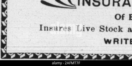 . Boone County Recorder. T. CLORE, Präsident. HUBERT CONNER, Secty. J. L. KITE, Agent. Ich Züchter gegenseitige Feuer und Blitz E^^ IIMSURANCE FIRMA^^, von Boone County, Ky. Live Stock versichert gegen Verlust durch Brand oder Blitzschlag. UNS FÜR PREISE. schreiben. Stockfoto