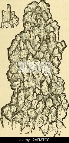 . Die Cooley cyclopedia von praktischen Einnahmen und Sicherheiten Informationen in den Künsten, fertigt, Berufe und Branchen wie Medizin, Pharmazie, Hygiene, und die heimische Wirtschaft: Als umfassende Beilage des Arzneibuchs und allgemeine Buch der Referenz für den Hersteller, Handwerker, Bewunderer, und Köpfe von Familien entwickelt. Harnstoff kristallisiert fromurine. Harnstoff kristallisiert fromwater.. Stockfoto