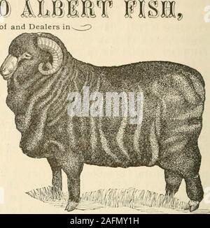 . Ortsverzeichnis und Business Directory von Rutland County, Vt, für 1881-82. (Eingetragen.) WAHL RAMS und mutterschafe eingerichtet im Großhandel und Einzelhandel.^^ Zufriedenheit Guai - ein T-Stück "l, (HOAD, SEJ<: Karte.) IRA, Rutland Co., - Vermont.. B.F. Gräber, Stockfoto