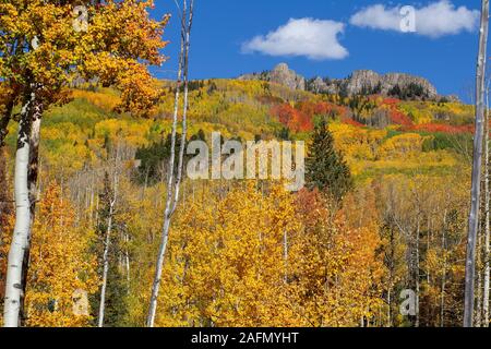 Kebler Pass einen hohen Berg Pass, in Crested Butte Colorado beginnt ist ein malerischer Herbst Farbe mit goldenen Espen. Stockfoto