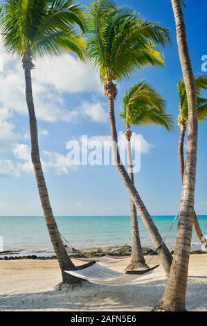 Einladende Hängematte schwingend zwischen Kokospalmen mit Blick auf den Strand und das Meer, auf tropischen Key West, Florida, USA. U.S. National Historic Landmark. Stockfoto