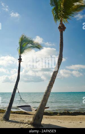 Einladende Hängematte schwingend zwischen Kokospalmen mit Blick auf den Strand und das Meer, auf tropischen Key West, Florida, USA. U.S. National Historic Landmark. Stockfoto