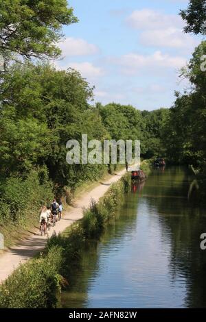 Blick entlang der Leinpfad des Kennet und Avon Kanal an einem sonnigen Sommertag mit Radfahrern und einem Läufer auf dem Leinpfad in der Nähe von Limpley Stoke, Wiltshire. Stockfoto