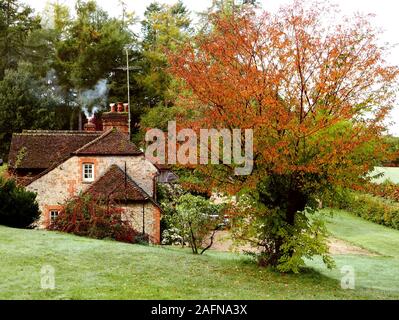 Inbegriff englischer Country Cottage im Herbst mit Rauch aus dem Schornstein, Tau auf den Rasen, und einen Kirschbaum mit Trompete Kriechgang Stockfoto