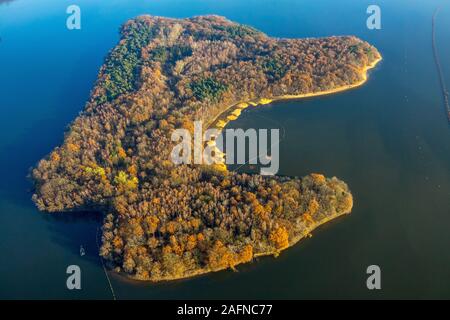 Luftbild, Mischwald am See, Stausee Insel in der Halterner Stausee, Haltern am See, Ruhrgebiet, Nordrhein-Westfalen, Deutschland, DE, Eur Stockfoto