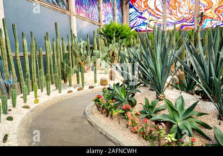 Cactus Garden im Cosmovitral Botanische Gärten, Toluca, Mexiko. Stockfoto