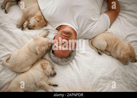 Im mittleren Alter Mann schlafend auf dem Bett mit Labrador Welpen. Stockfoto