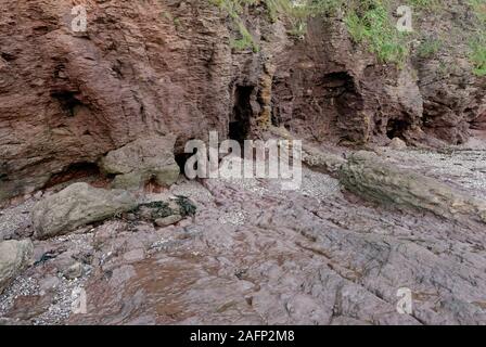 Devon ära Felsen an der Saline Bucht südlich von Paignton, Devon, UK, im UNESCO global Geopark. Stockfoto