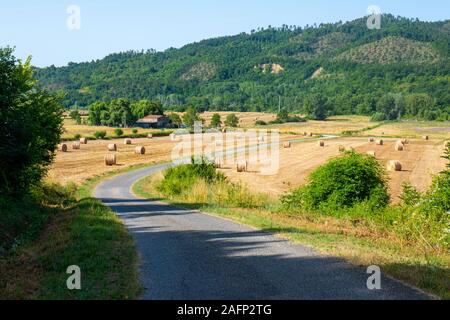 Eine Straße in der Toskana Italien innerhalb der italienischen Landschaft mit Wäldern und Feldern Stockfoto