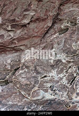 Devon ära Felsen an der Saline Bucht südlich von Paignton, Devon, UK, im UNESCO global Geopark. Stockfoto