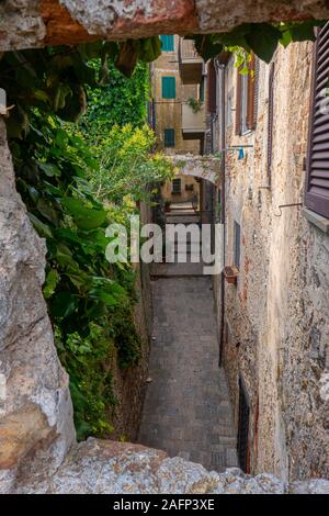 Straße von Capalbio in der Toskana Italien mit Türen und Fenstern Stockfoto