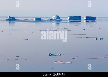 Meereis vor der Ostküste von Grönland Stockfoto