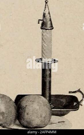 . Biggle Garten Buch; Gemüse, kleine Früchte und Blumen für Vergnügen und Profit. von Tiermehl, stabiles ma-nure, und irgendeine Form von Kali. Ein weiterer Beihilfen tohigh Qualität, Sackleinen oder absackung die Trauben. Die beste Zeit, dies zu tun ist, wenn die Beeren arequite klein - nicht größer als kleine erschossen. Ordinarytwo-lbs-papiersäcke verwendet werden. Der Mund ofeach Sack sollte fest um den stemof das Bündel umhüllt, und sicher an Ort und Stelle durch pinningor binden statt. Die Krawatte sollte dicht sein, aber nicht zu eng. Die Säcke schützen die Trauben und fromfungous Insekt-feinde, einschließlich Wespen, Vögel, etc., Stockfoto