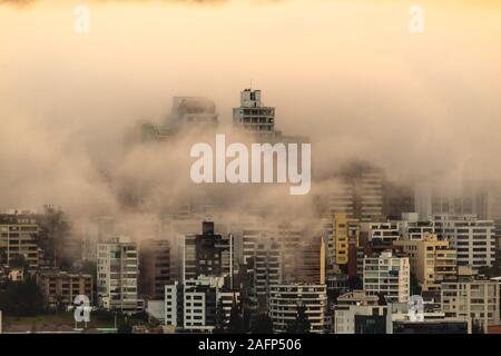 Gebäude, die von Nebel am Ende eines warmen Nachmittag im nördlichen Teil der Stadt Quito umgeben Stockfoto