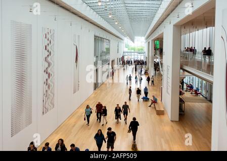 Das Art Institute of Chicago Illinois Museum Stockfoto