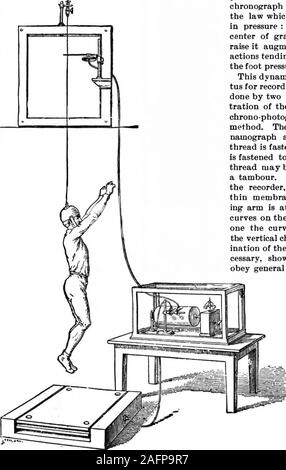 . Scientific American Band 74 Nummer 14 (April 1896). Bepflanzung o f große Bäume wurde versucht, sehr extensivelyin verschiedener Länder, und das Zeugnis aller expertsis, daß, während es ist manchmal erfolgreich, es ist noch ein verycostly und unbefriedigende Transaktion. In unserem ownexperience, vielleicht dreißig große Bäume auf unterschiedliche Arten, mit denen das Experiment sometwenty vor Jahren versucht wurde, mit großer Sorgfalt und aliberal mopt Missachtung der Kosten, nur ist jetzt lebt, und das nicht in eine sehr blühende Kon-dition. Ein junger Baum eines suita Nehmen - Größe ble für das Verpflanzen, sagen fiveyears Stockfoto