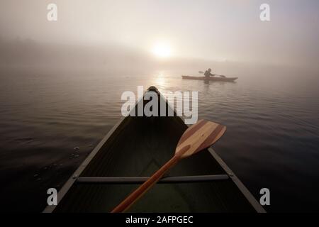 Solo paddeln auf einem nebligen Teich bei Sonnenaufgang. Stockfoto