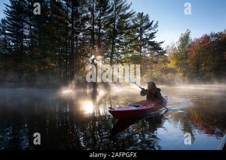 Solo paddeln auf einem nebligen Teich bei Sonnenaufgang. Stockfoto