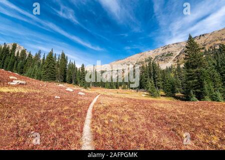 Wanderweg im Indian Peaks Wilderness Stockfoto