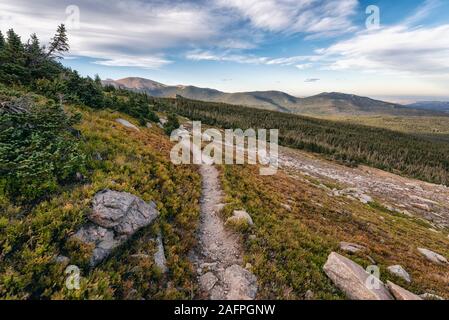 Wanderweg im Indian Peaks Wilderness Stockfoto