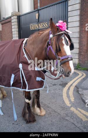 Guinness Storehouse, Kilmainham, Dublin, Irland Stockfoto