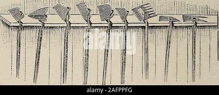 . Biggle Garten Buch; Gemüse, kleine Früchte und Blumen für Vergnügen und Profit. Wenn der Ständer ist sichergestellt. Abstand auseinander zu dünn ist abhängig von der Sorte; forhints der Strecken, die Kapitel auf Gemüse. Bewässerung. - In Regionen der normalen Niederschläge, Arti-ficial Bewässerung von Gärten nur selten praktiziert ornecessary. Anbau, unter normalen Bedingungen, Con - Bietet ausreichend Feuchtigkeit für die durchschnittliche plantsneeds. In Kalifornien und einigen anderen Staaten, irrigationis eine Notwendigkeit. Leute, die brauchen thismethod zu üben sollte in die US-Abteilung ofAgriculture, Washington, D.C schreiben, ein Stockfoto