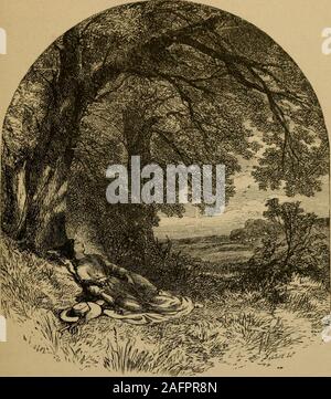 . Bryant. Gedichte aus den Werken von William Cullen Bryant., in dem wir wohnen. Die Jugend gehorchte, und suchten forgame In Wäldern weit weg, Wo, tief in der Stille und in Moss, die alten Wälder legen. Aber einmal, im Herbst golden timeHe reichten die Wilden vergeblich, Noch geweckt der Fasan noch die Rehe, und wanderte wieder zu Hause. Der Halbmond und crimson eveShone mit einer Vermischung Licht; das Reh, auf dem grasbewachsenen Mead, war Fütterung voll im Blick. Er hob das Gewehr zu seinem Auge, und von den Klippen um eine plötzliche Echo, schrill und scharf, gab zurück seine tödliche Klang. Entfernt, in den angrenzenden Wald, die erschrocken Stockfoto
