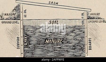 . Biggle Garten Buch; Gemüse, kleine Früchte und Blumen für Vergnügen und Profit. Wenn Sie ein gutes Bett haben. - Tim. Sollten OTBEDS locatednear werden ein nebengebäude Die erwärmt und fortransplanting verwendet werden. Es auch einen Vorteil in der Nähe der Wasserversorgung zu havethem, es sei denn das Wasser andie Betten geleitet wird. Eine südliche aspectis wünschenswert und die Rahmen sollten Ost und West, mit dem Glas schräg in den Süden, sagt R. L. Watt. Die Grube für die brutstätte im fallbefore der Boden ist. Gefrorene gegraben werden sollte. Es ist nicht notwendig, um eine größere Tiefe inPennsylvania thanabout zwei Fuß vier in Auszugraben Stockfoto
